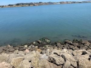 MLS #HD24144184 image #0