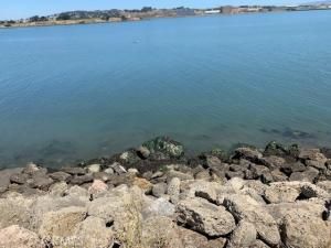 MLS #HD24144187 image #0