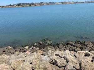 MLS #HD24144276 image #0