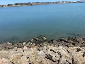 MLS #HD24144318 image #0