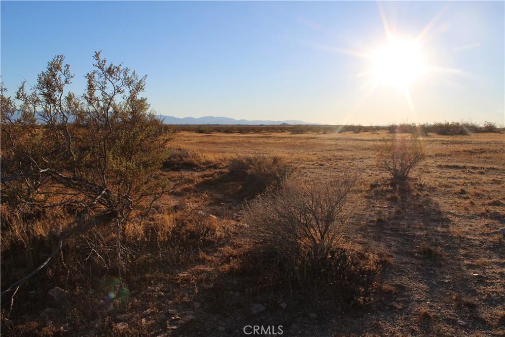 MLS #HD24242376 image #0