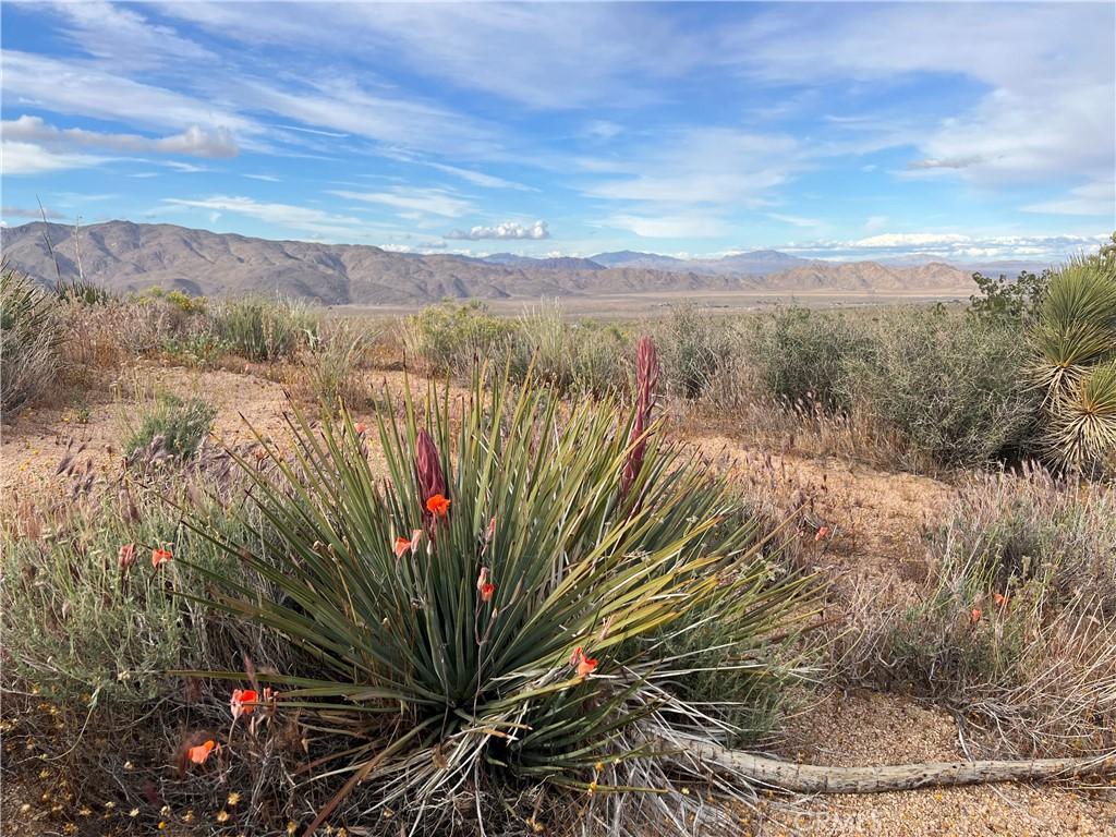 MLS #HD25002017 image #0