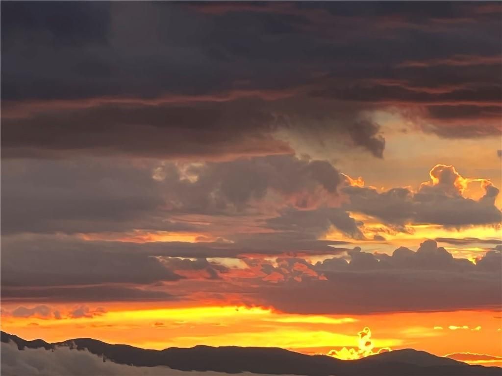 MLS #HD25006470 image #0