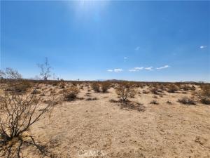2025 Mcgarry Road Joshua Tree CA 92252 | MLS #HD25045747 45 MLS #HD25045747 image #0
