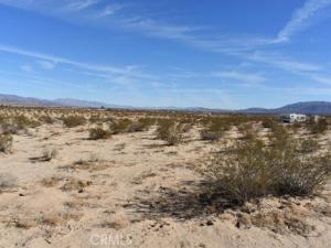 MLS #HD25051639 image #0