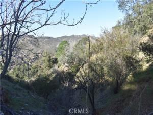 29935 Hickory Dr Cedar Glen CA 92321 | MLS #HD25051843 45 MLS #HD25051843 image #0