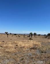 MLS #HD25053807 image #0