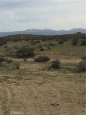 MLS #HD25053838 image #0