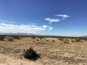 broker reciprocity