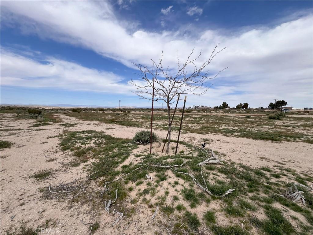 MLS #HD25078948 image #0