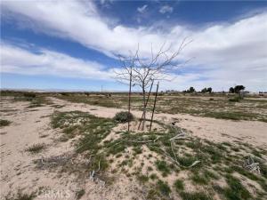 MLS #HD25078948 image #0
