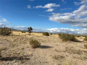 MLS #HD25093740 image #0