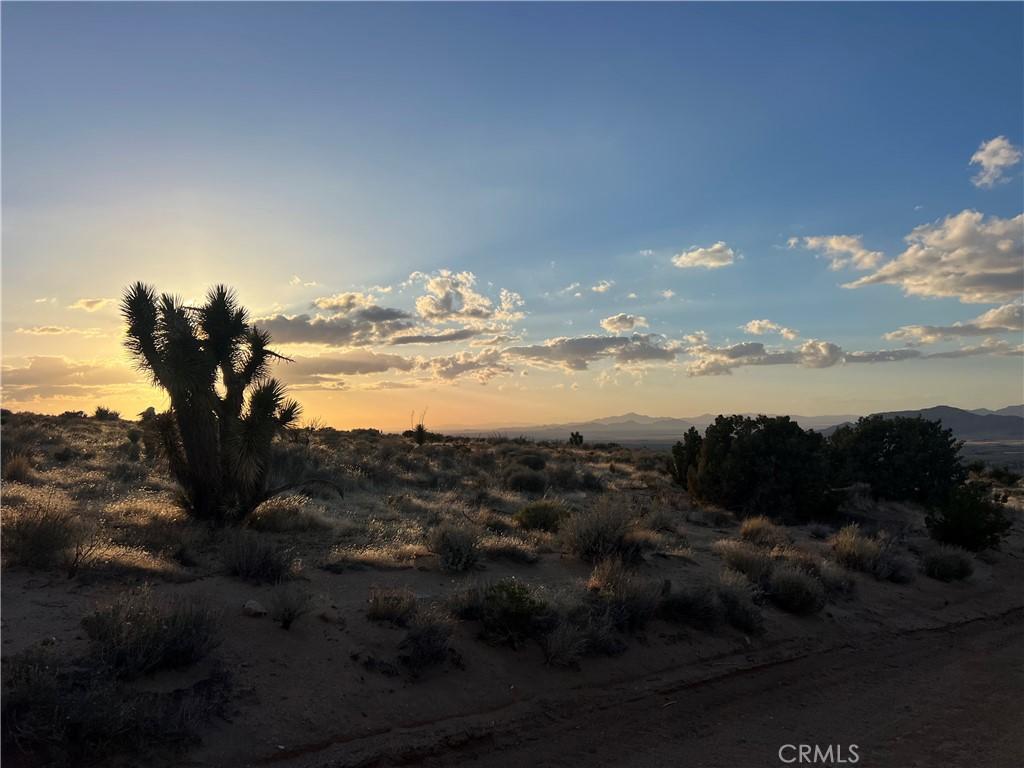 3 Ocotillo Apple Valley CA 92308 | MLS #HD25107246 45 MLS #HD25107246 image #0