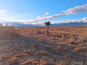 MLS #HD25129653 image #0