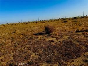 STW VIC AVE E # J2 Lancaster CA 93535 MLS #HD25136304 37 MLS #HD25136304 image #0