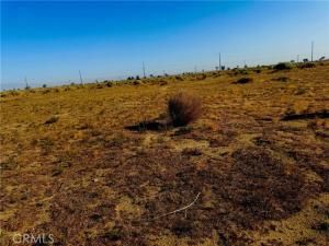 MLS #HD25136304 image #0