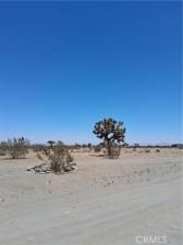 MLS #HD25147287 image #0