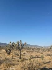 MLS #HD25156768 image #0