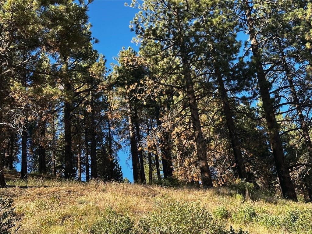 MLS #HD25162344 image #0