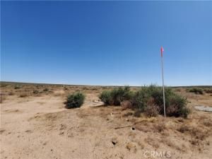 MLS #HD25165181 image #0