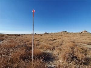 MLS #HD25165630 image #0