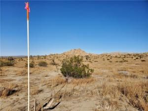 AC Longview RD Palmdale CA 93591 MLS #HD25165650 13 MLS #HD25165650 image #0