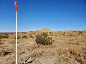 MLS #HD25165650 image #0