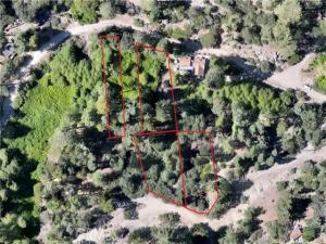 29629 Little Bear Creek Road Cedar Glen CA 92321 | MLS #HD25167695 45 MLS #HD25167695 image #0