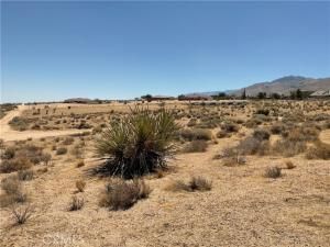 MLS #HD25186708 image #0