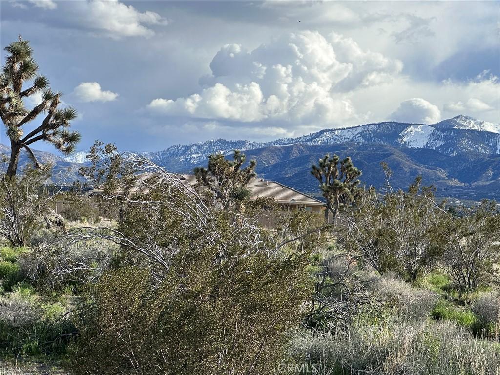 MLS #HD25195485 image #0