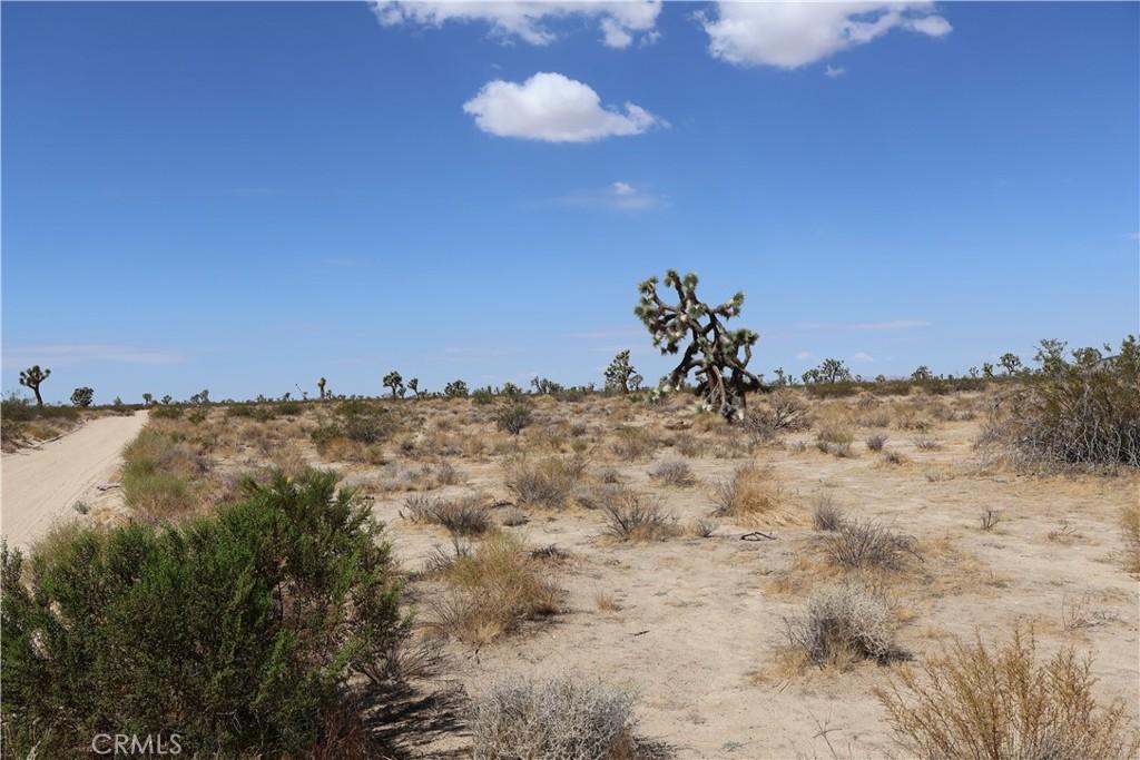 MLS #HD25226176 image #0