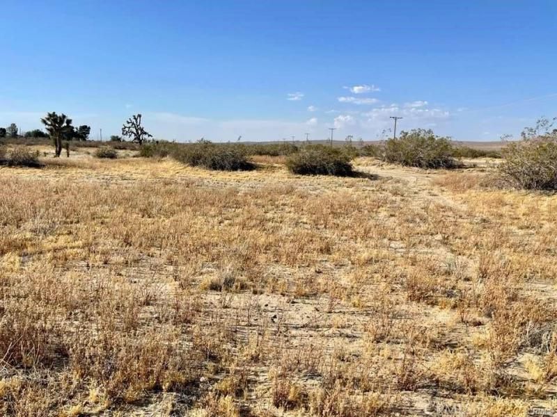 MLS #HD25231562 image #0