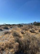 MLS #HD25233855 image #0