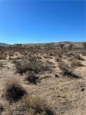 MLS #HD25242075 image #0