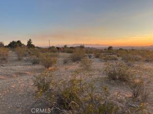20 Old Mine Apple Valley CA 92307 | MLS #HD25242535 45 MLS #HD25242535 image #0