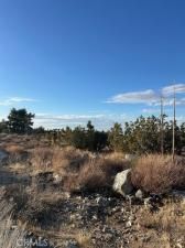 MLS #HD25244471 image #0