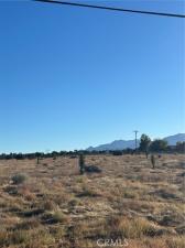 MLS #HD25246899 image #0