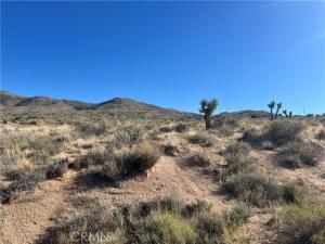 MLS #HD25251785 image #0