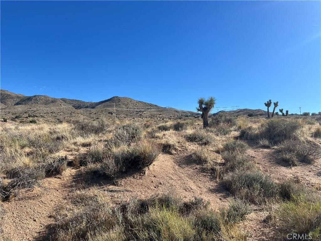 MLS #HD25251785 image #0