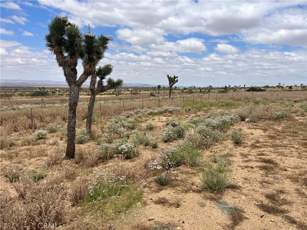 MLS #HD25253479 image #0