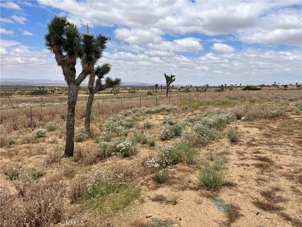 MLS #HD25253479 image #0