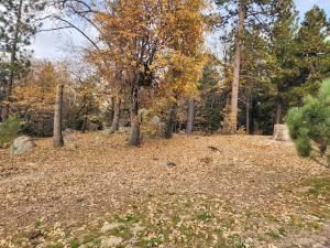 MLS #HD25258985 image #0