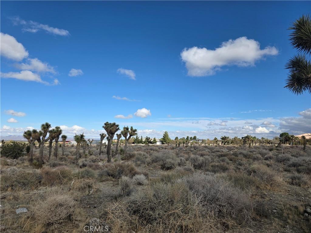 MLS #HD25262766 image #0