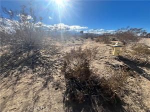 MLS #HD25263371 image #0