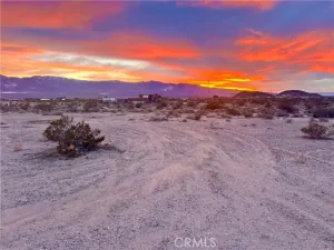 broker reciprocity