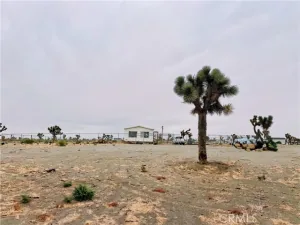 broker reciprocity