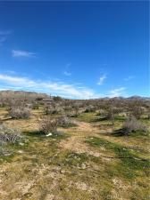 MLS #HD25269516 image #0