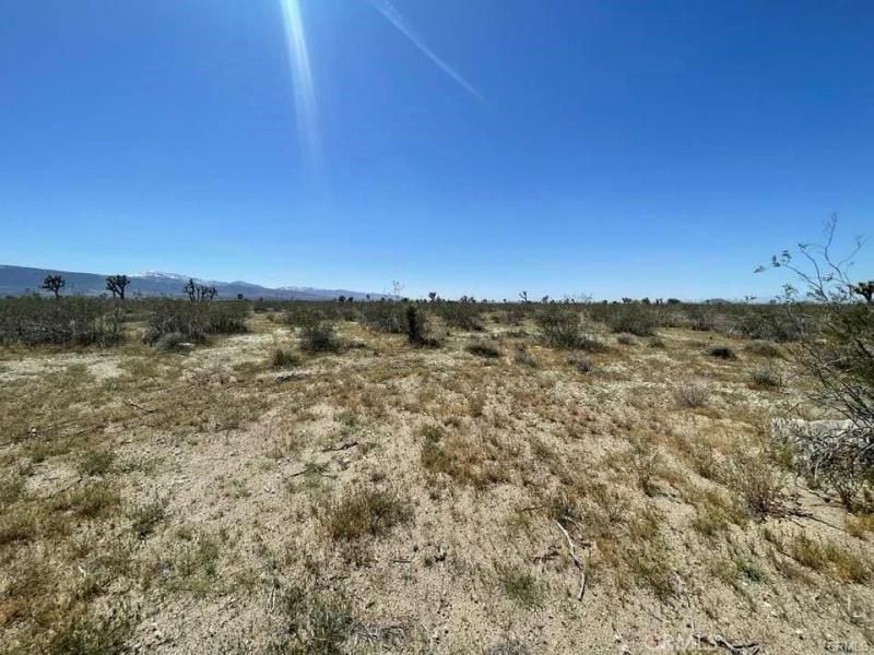 MLS #HD25271707 image #0