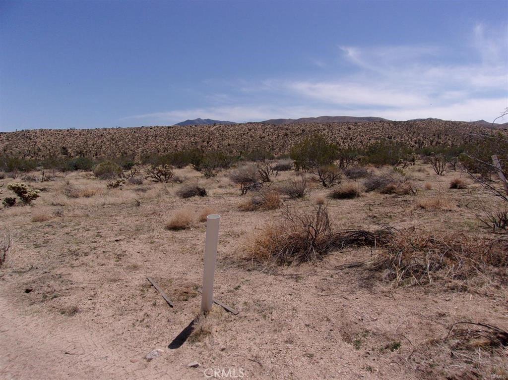 MLS #HD25272582 image #0
