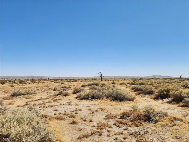 MLS #HD25272954 image #0